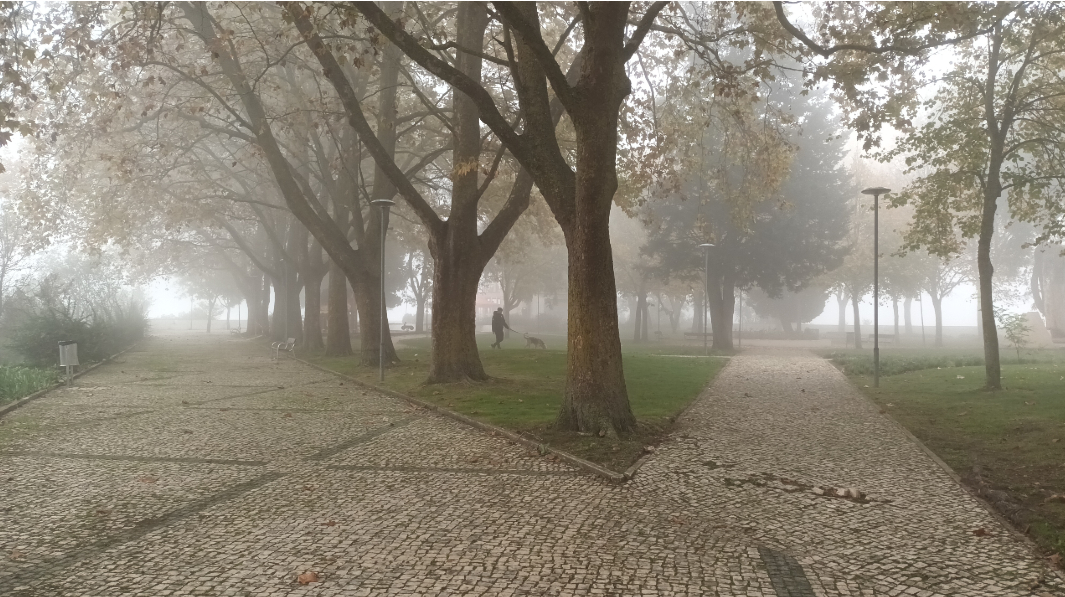 O olhar é vago e quando precisa ser encarado, chora, choro de quem em silêncio grita por socorro.
A solidão é imensa e nada consola o vazio que a invade. Chora, choro de quem em silêncio grita por socorro. Já não há encanto, já não há flores, a primavera passou, Só resta choro, choro de quem em silêncio grita por socorro.