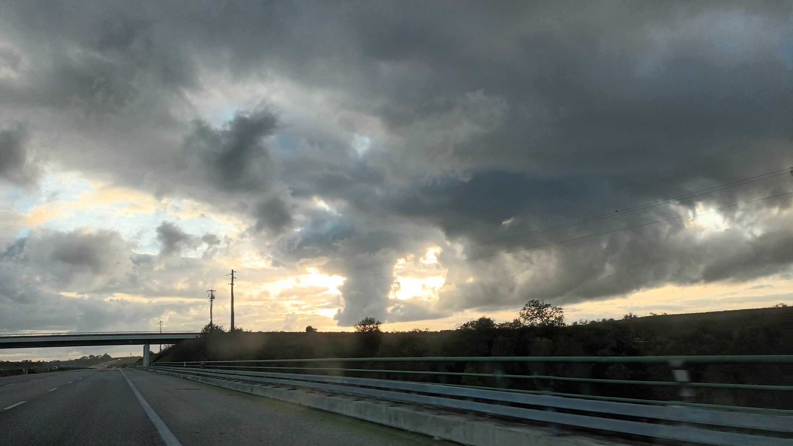 Não se colhe rosas onde se semeou Urtigas