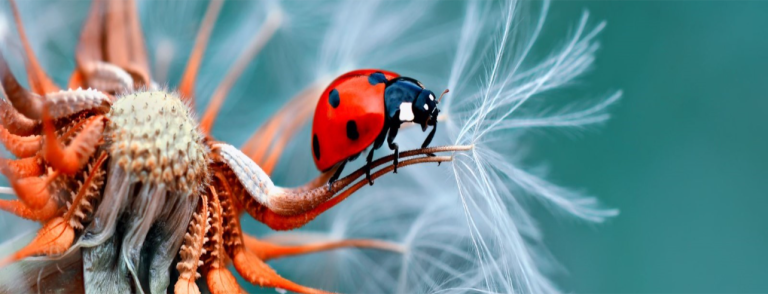 O Despertar para o Amor Próprio: Uma Reflexão Sobre Relações e Vaidades.
