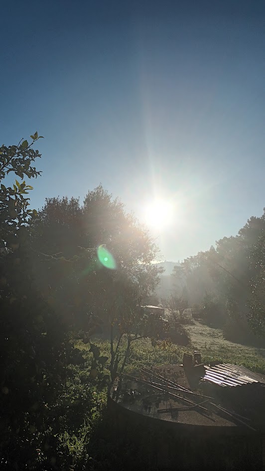 O que é que, queremos dizer com "valeu a pena"? 
A ideia é que o sofrimento enrustido acaba sendo valorizado? A palavra "pena", em seu sentido mais literal, refere-se a castigo ou punição. 