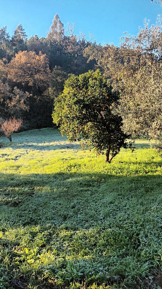 A vida não é complicada.
Nós é que insistimos em torná-la assim. Existe uma tendência quase automática de tentar explicar tudo, organizar tudo, justificar tudo.