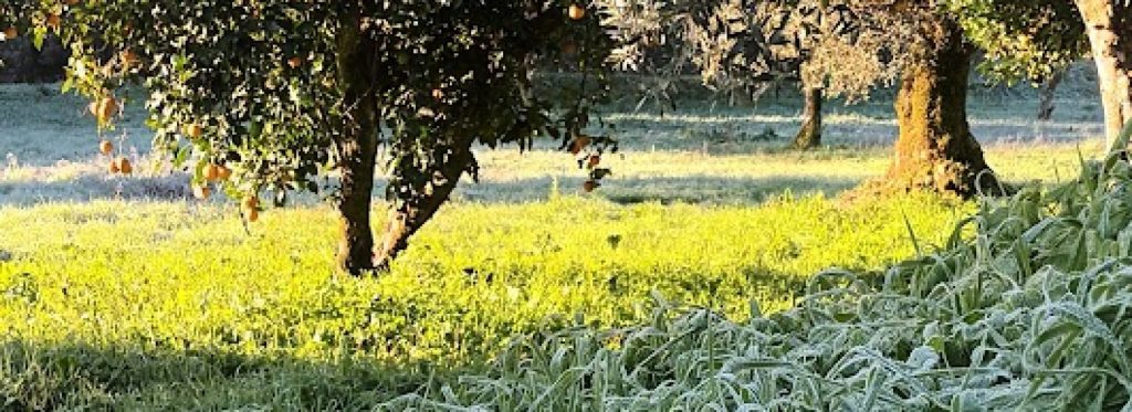 a única certeza que possuíamos é a morte.