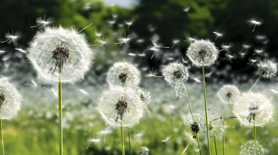 Eu acredito que durante a nossa passagem por esta vida, teremos dias de Sol intenso em que os nossos corações se sentirão aquecidos e esses transbordarão de alegria, nesses dias de luzes radiantes, creio que somos mais belas do que toda a estação da primavera.