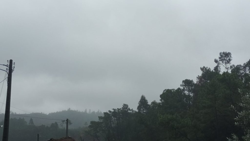 O dia amanheceu com aquele tom cinza suave que só o outono sabe trazer… O Deus Outono é um dos deuses mais lindo. 