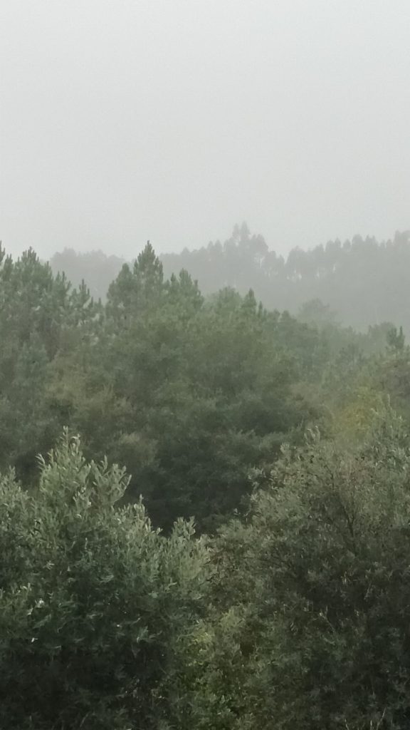 Não há ninguém aqui, onde estão todos? Os imensos corredores frios, silenciosos e sem vida como concreto armado