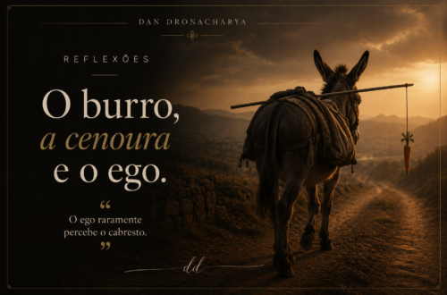 “Nem toda busca é liberdade.”