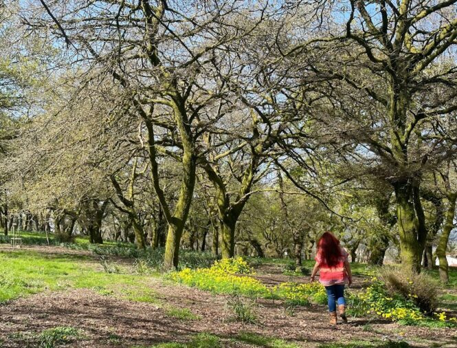 Dan Dronacharya é escritora, mentora e criadora de conteúdos voltados para consciência emocional, comportamento humano e espiritualidade prática. Autora do livro “Entre Mundos e Almas”, utiliza a literatura como instrumento de reflexão, autoconhecimento e despertar do discernimento nas relações e na vida cotidiana. Seu trabalho une escrita sensível, análise do comportamento humano e práticas de meditação e relaxamento Yogi, oferecendo clareza mental, segurança emocional e expansão de consciência para indivíduos e marcas que desejam crescer com autenticidade e profundidade. Escreve sobre as travessias internas do ser humano — entre razão e emoção, dor e amor, ilusão e discernimento — convidando cada leitor a reconhecer a própria alma e caminhar com mais presença e verdade.